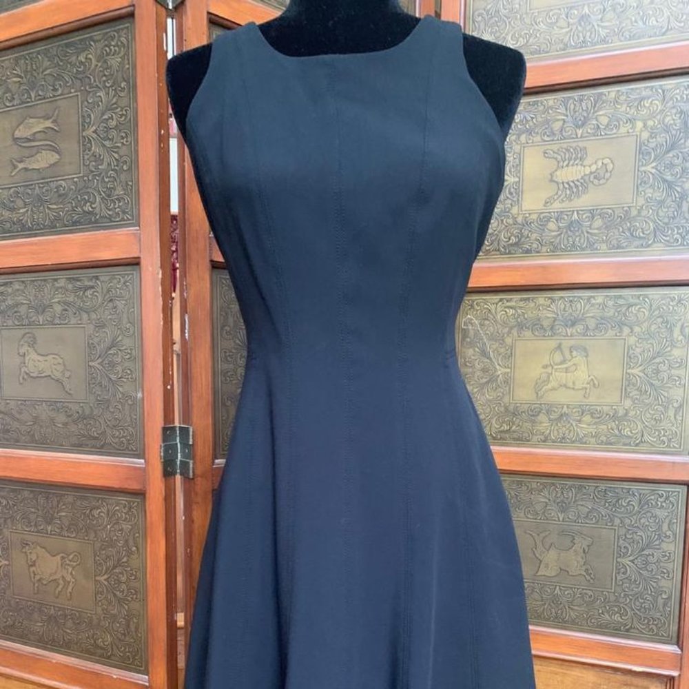 Banana Republic Black Panel Fit and Flare Dress